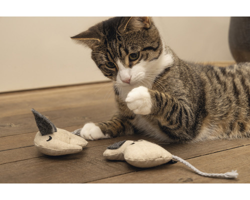 Kattenspeeltje beeztees Minus one muis Coda grijs beige 9 x 9 x 2 cm
