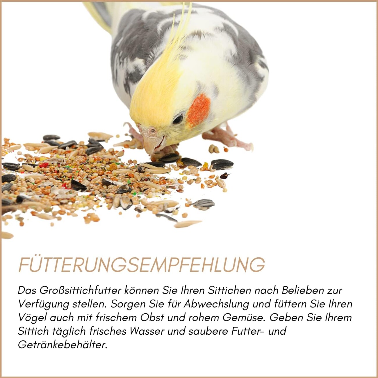 Supravit Großsittiche Spezial - Alleinfutter für Ziervögel & Papageien ohne Sonnenblumenkerne 2,5 kg