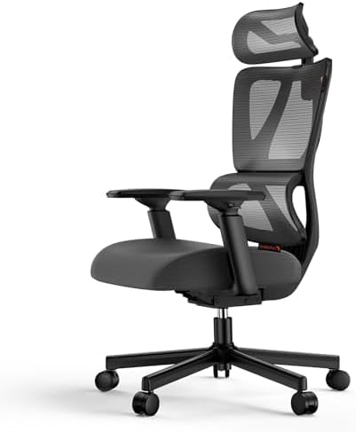 ProtoArc EC100 Ergonomischer Bürostuhl – Computer-Schreibtischstuhl mit 10 cm dickem Federkissen, Lendenwirbelstütze, Verstellbarer  Armlehne & Kopfstütze, Mesh-Drehstuhl für Home-Office, Schwarz BM6534386