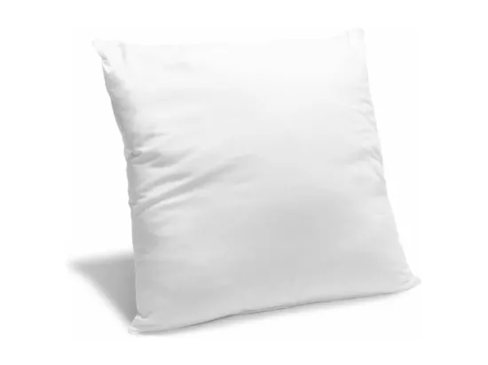 Oreiller moelleux Anti-punaises de lit 60x60cm