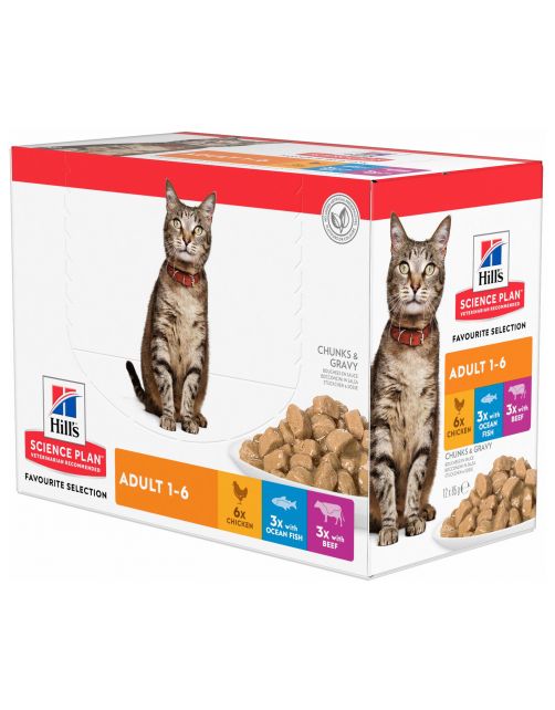 Hill's Feline Maaltijdzakjes Adult Multipack - Kattenvoer - Mix Rund Zeevis 12x85 g