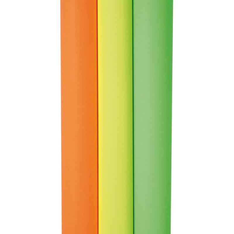 PAPIER AFFICHE FLUO, Rouleau de 10 feuilles 90g/m2 au format 60x80cm - Assortiment