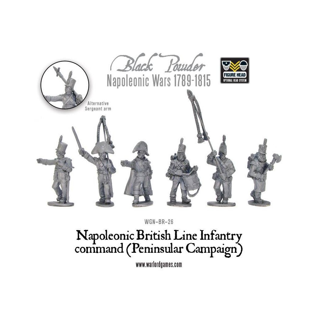 Napoleonic British Line Infantry command (Pensinsular War)
