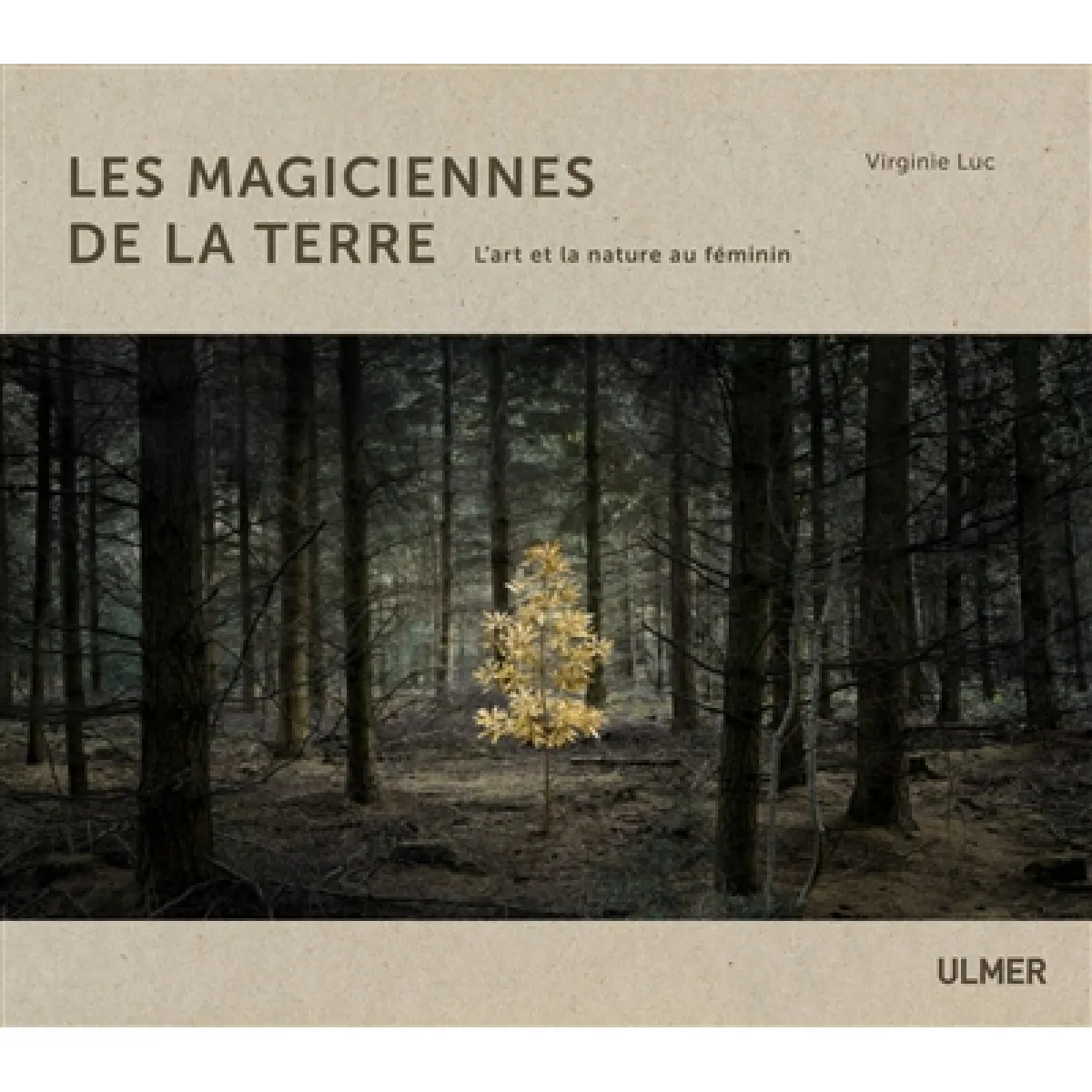 Les magiciennes de la Terre : l'art et la nature au féminin · Occasion