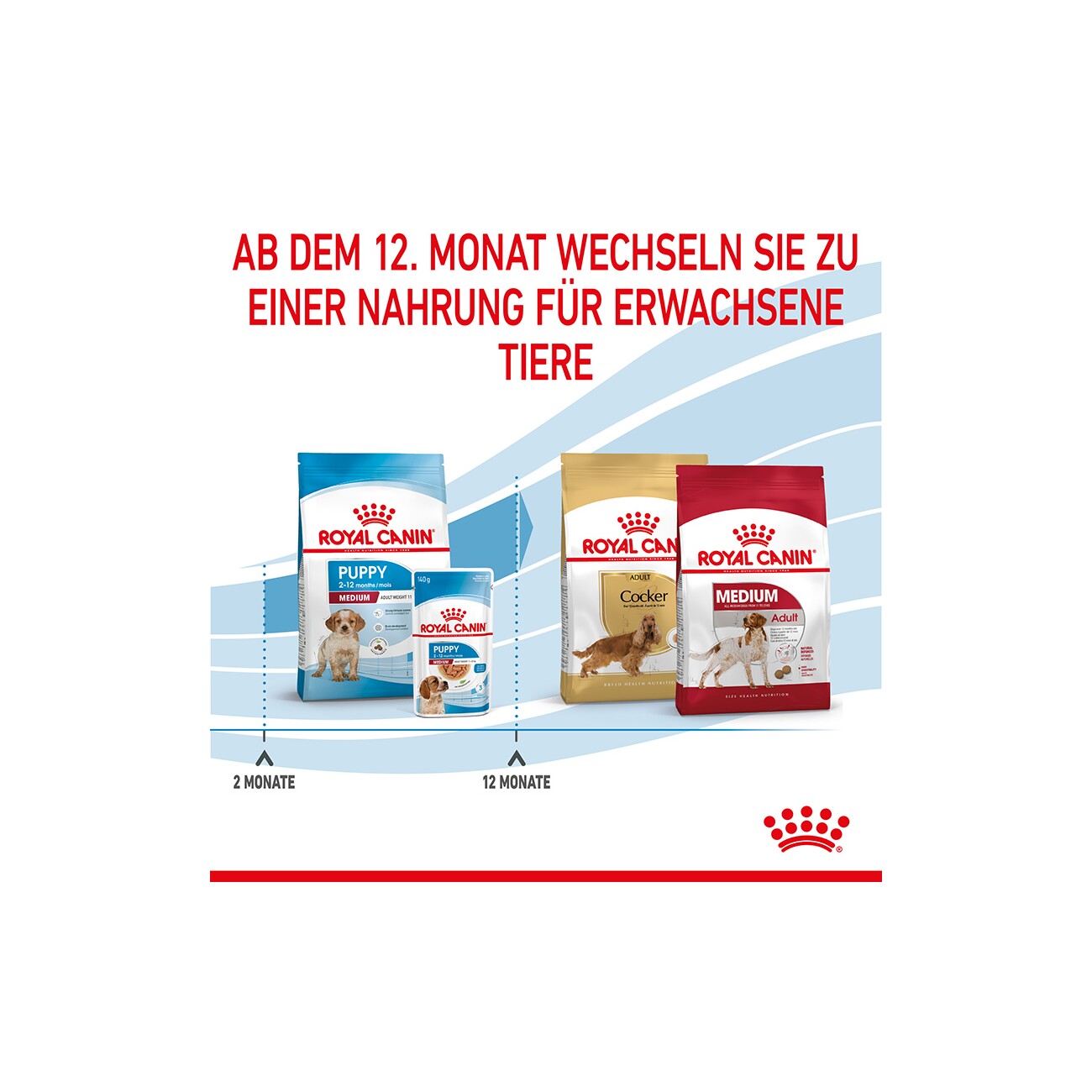 ROYAL CANIN Medium Puppy 4 kg
