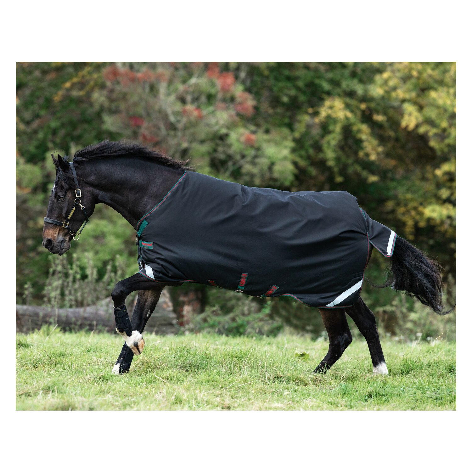 HORSEWARE Weidedecke RAMBO Original Medium - black