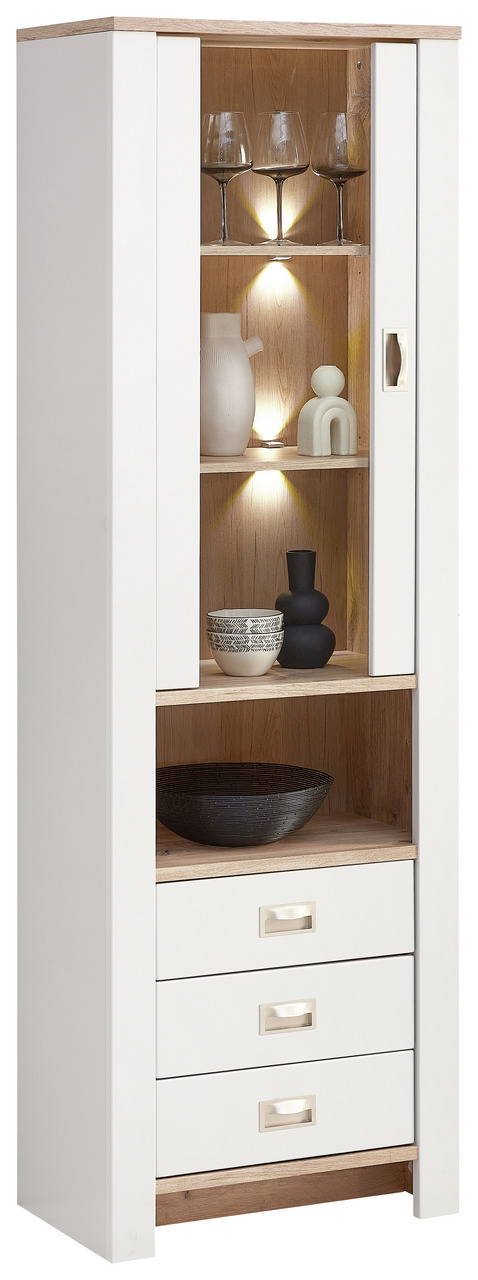 Hom´in Vitrine ETIENNE