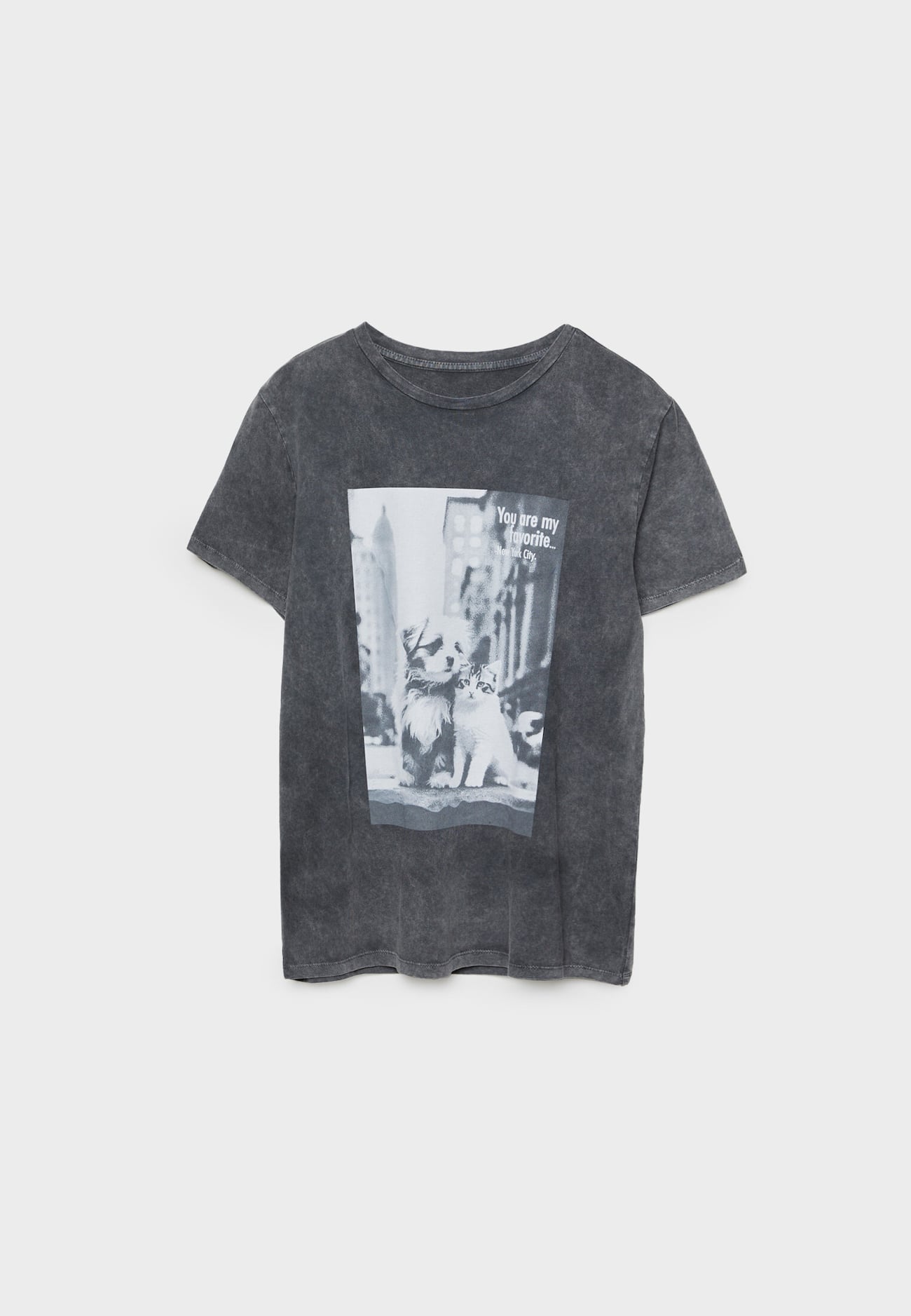 Camiseta para animais de estimação com lavagem ácida