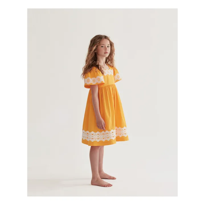 The Middle Daughter Robe Dentelle | Mangue