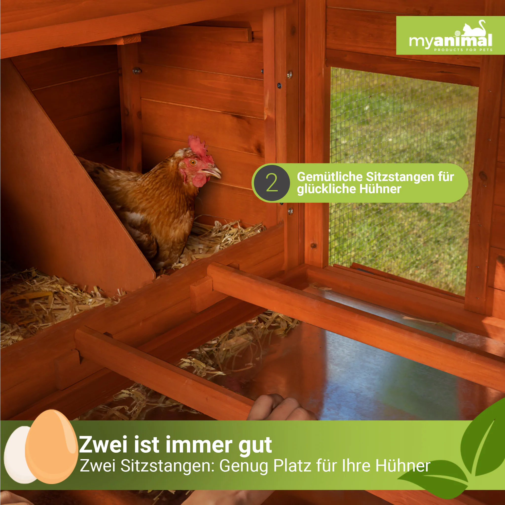 MyAnimal Hühnerstall XXL für 8 Hühner MH-22, Hühnerhaus mit zwei Nistkästen, Auslauf, zwei Ebenen (Braun 2.0)