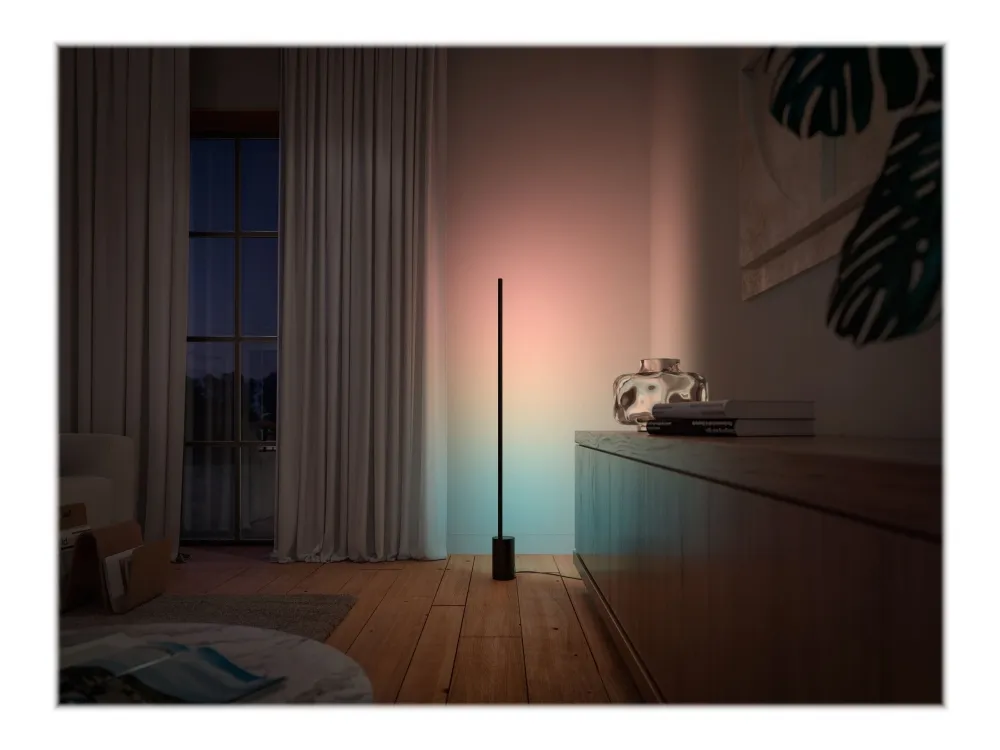 Philips Hue White and Color Ambiance Gradient Signe - Gulvlampe - LED - 29 W - 16 millioner farver/varmt til køligt hvidt lys - 2000-6500 K - sort