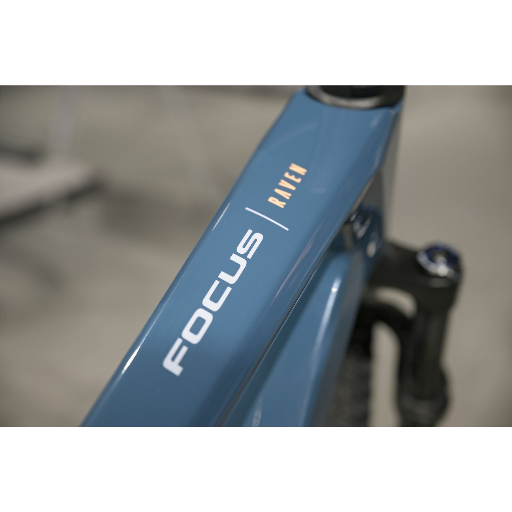 Focus Raven 8.7 2025