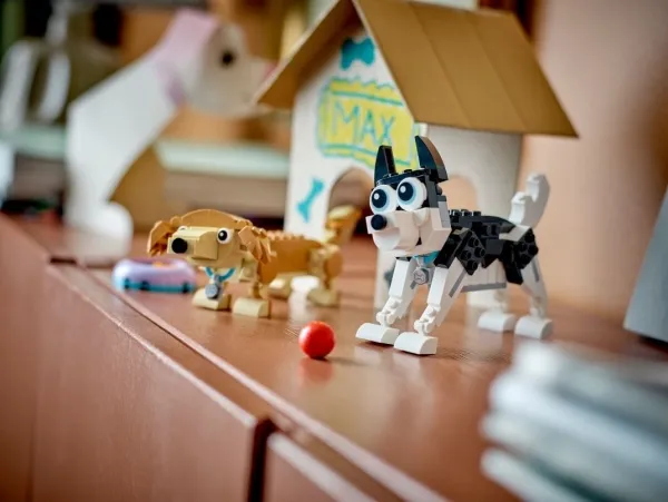 LEGO Creator 31137 Bedårende hunde