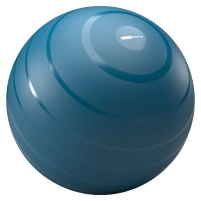 Gym Ball Decathlon Fitness - 55cm