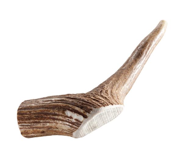 Chewies Hundesnack Geweihstange