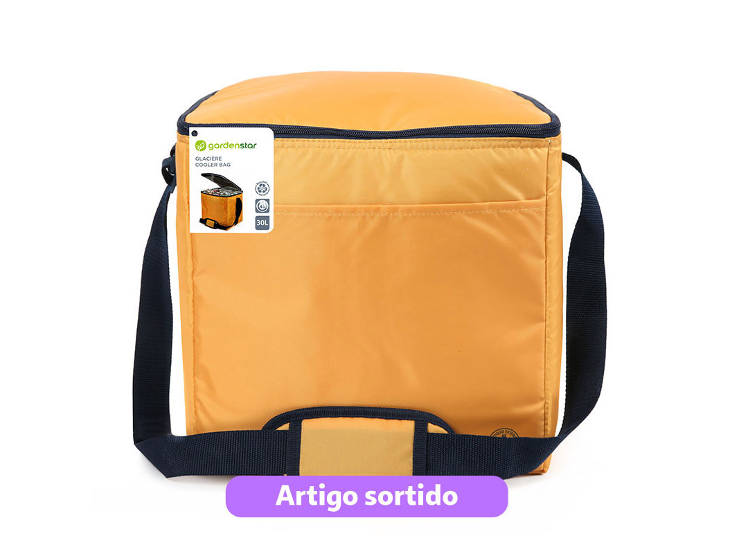 LANCHEIRA GARDENSTAR 30L CORES SORTIDAS