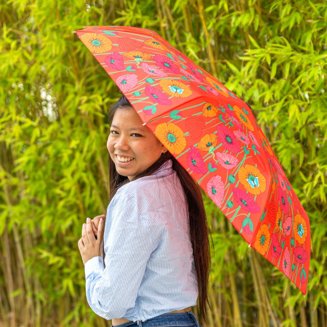 Parapluie - Rainbeau