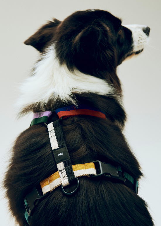 Hay Dogs hondenharnas M Blue/Black