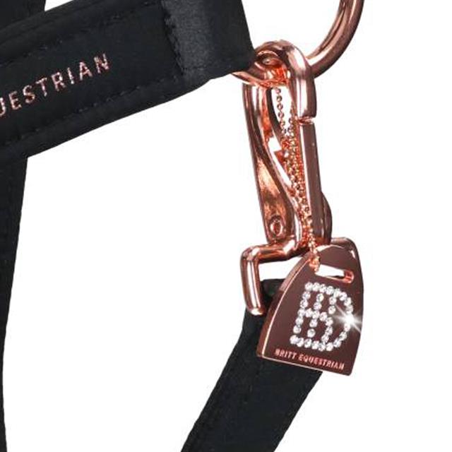 Halsterset BRITT EQUESTRIAN AW25 Zwart