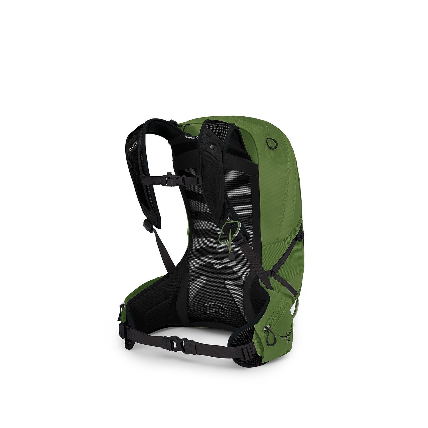 Osprey Talon 22 S/M green belt/black