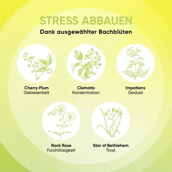 PLUS Bachblüten Mentale Balance
