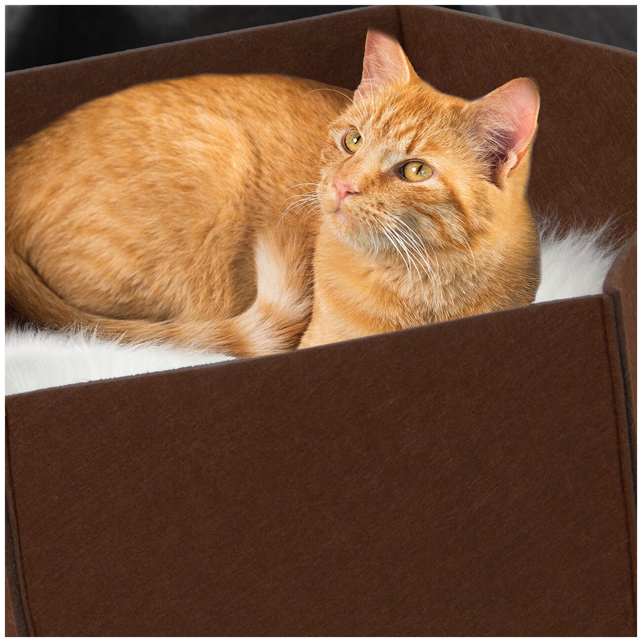 Canadian Cat Company Filzlounge AVA braun M