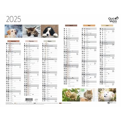Quo Vadis - Calendrier Fantaisie 6 mois par face - 27 x 21 cm - animaux