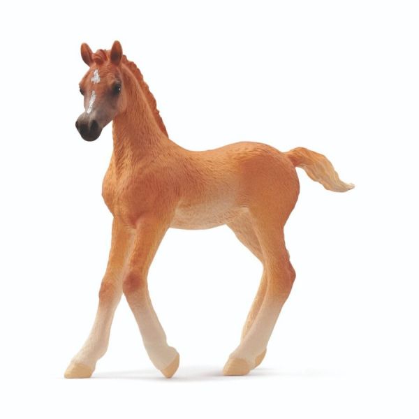 Schleich Horse Club Araber Fohlen - 13984