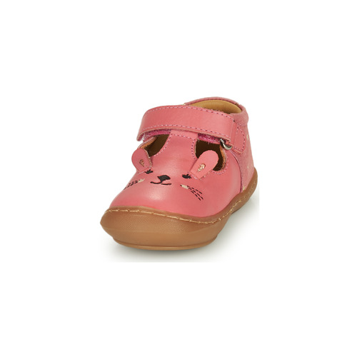 Citrouille et Compagnie - TIPELLE - Pink