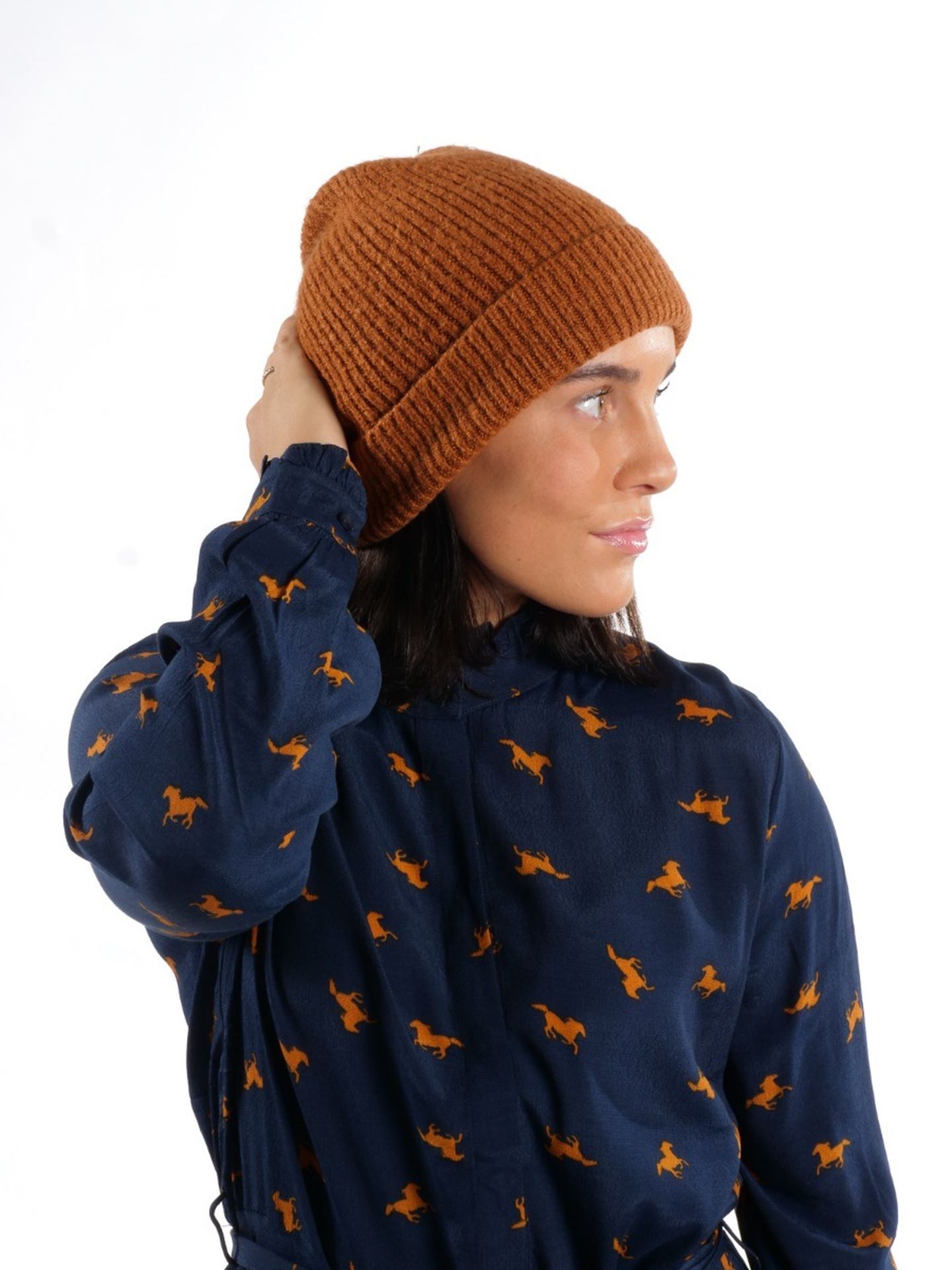 Ivo Beanie