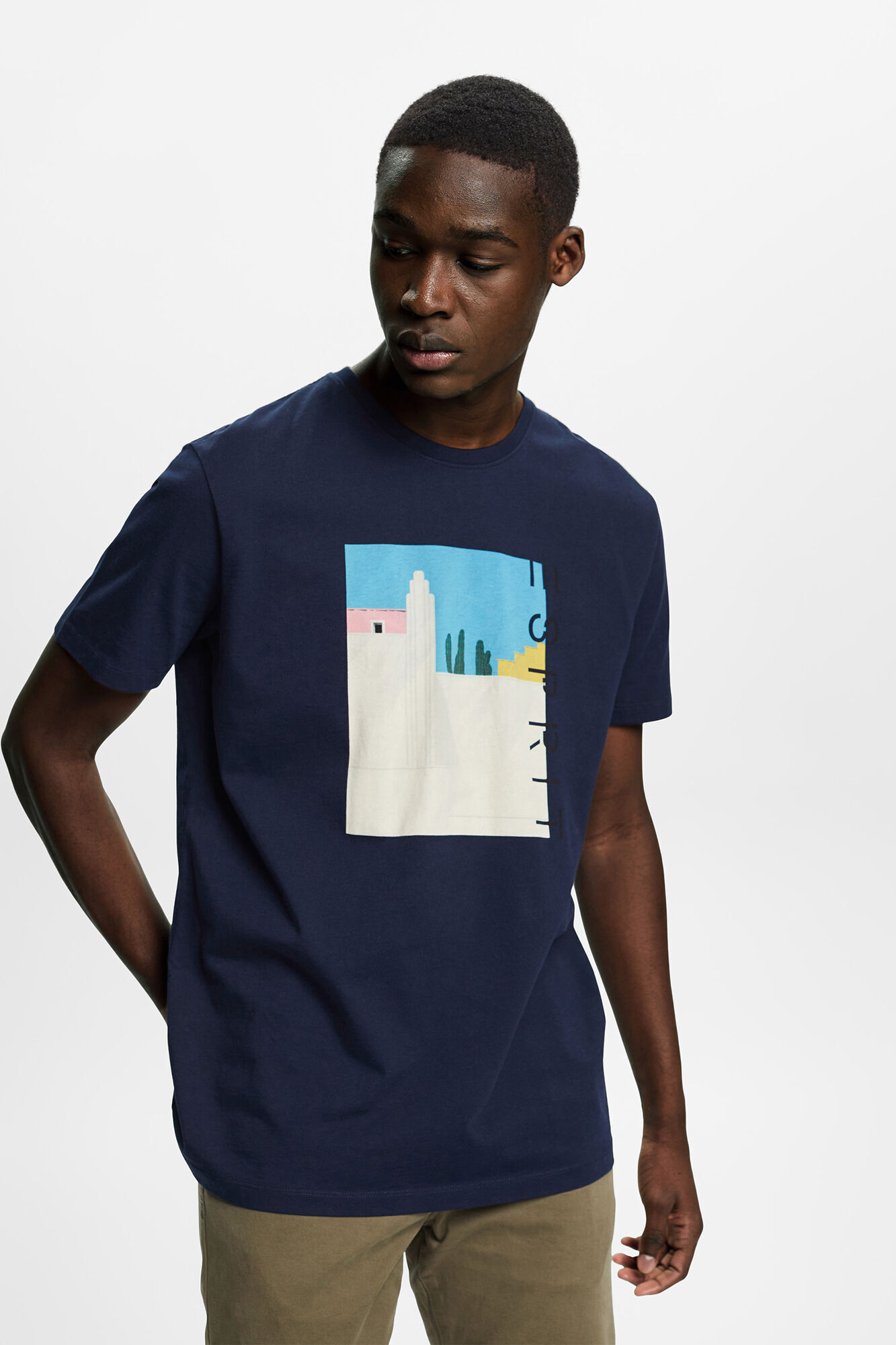 Camiseta estampada de corte regular - Estampa azul
