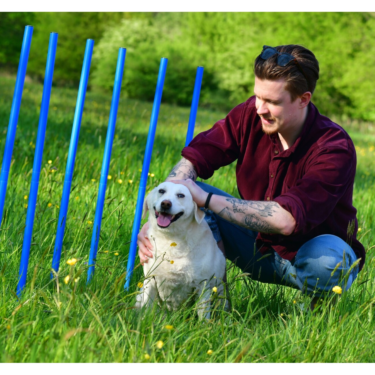PfotenWunder® 10x Slalomstangen, Profi-Agility-Slalom-Set groß Sport, für kleine & große Hunde-Training Parcour Zubehör