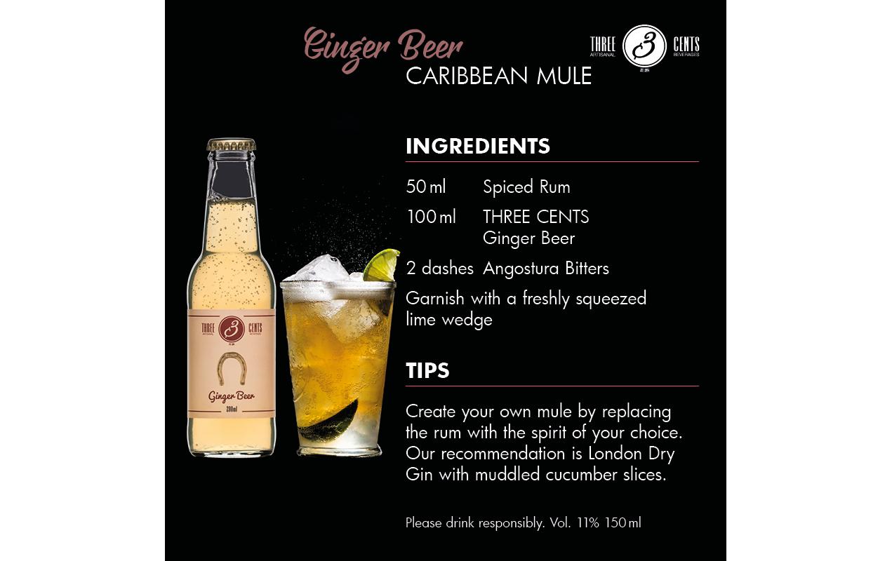 Soft-Drinks Ginger Beer 6 x 0.2 lErfrischungsgetränk mit Ingwergeschmack