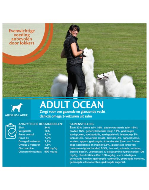 Wellness Core Grain Free Dog Ocean Zalm&Tonijn - Hondenvoer