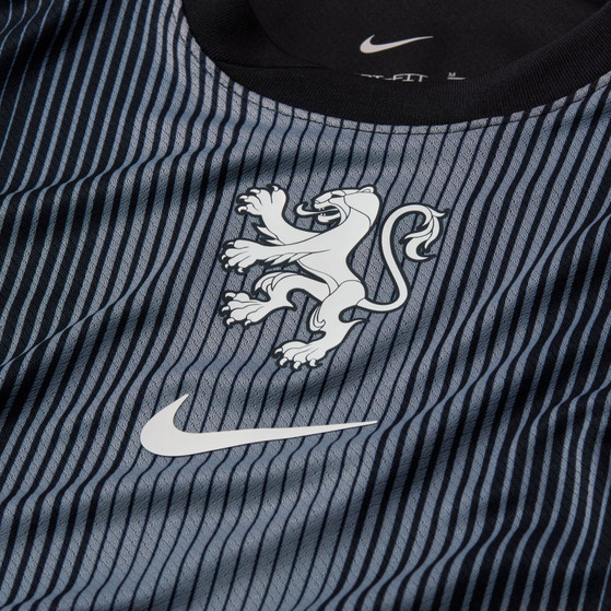 Nike Nederland Thuis Keepersshirt Leeuwinnen Kids