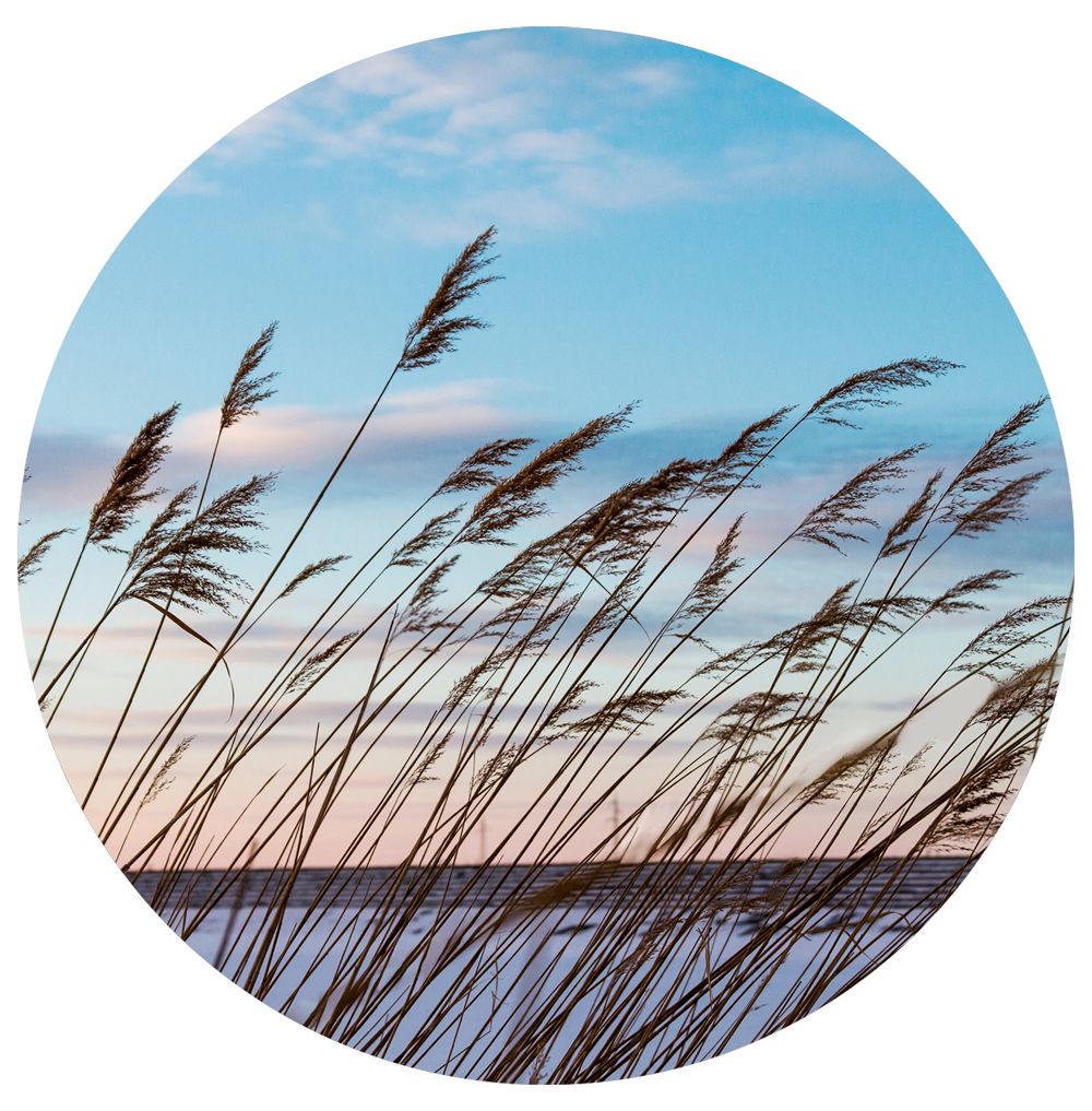 Glasbild RING WIND