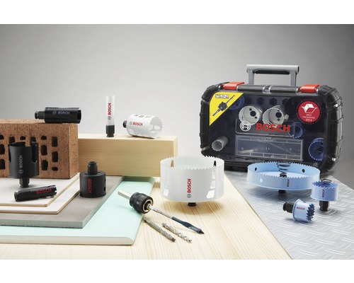 Gatenzaag Bosch Plaatwerk BiM 17mm