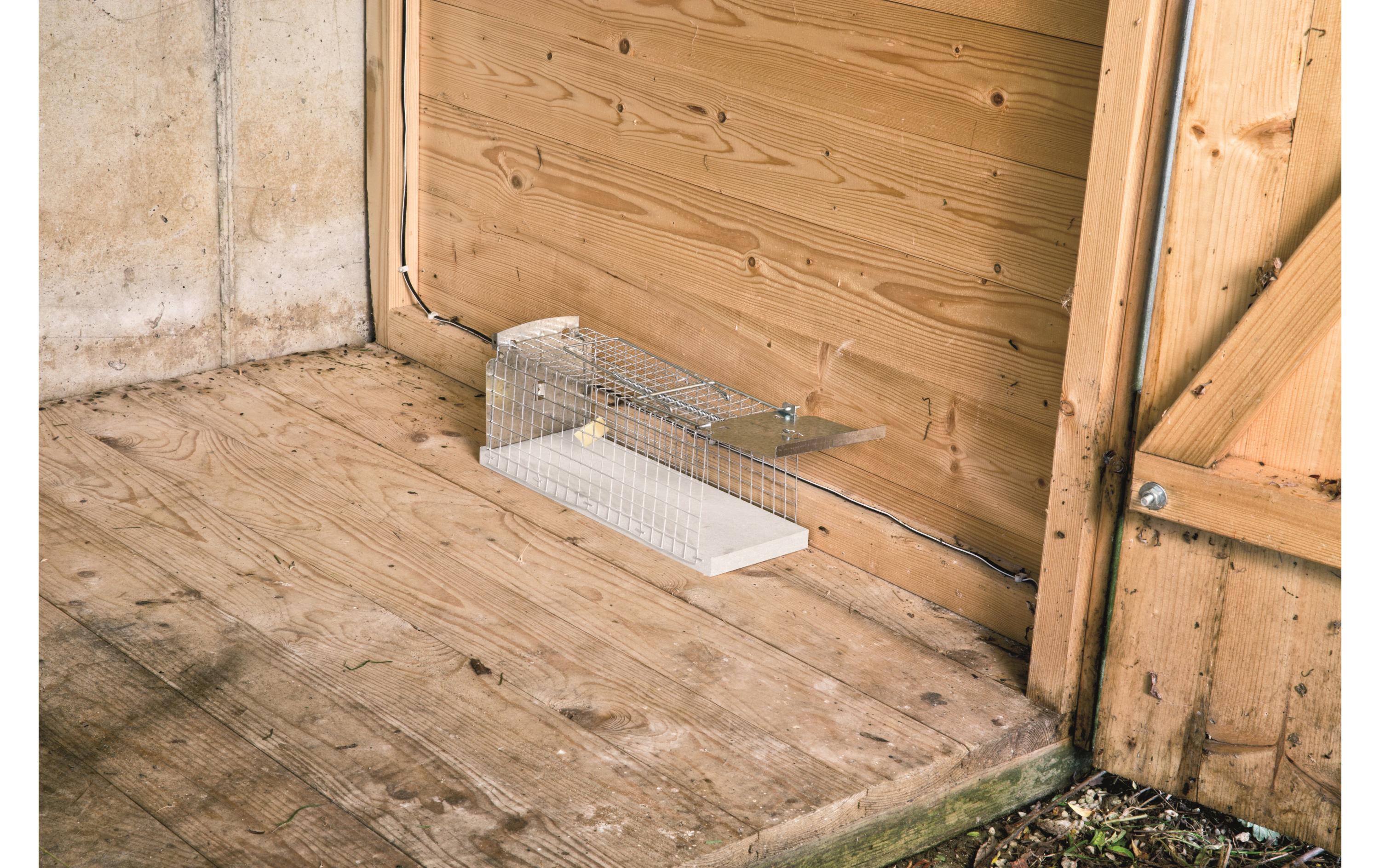 Rattenfalle DrahtkastenSchädlingsbekämpfer Für Schädling: Ratten