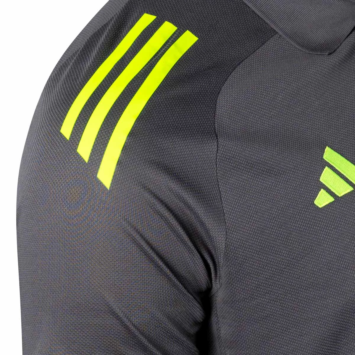 Polo adidas Real Zaragoza Passeio 2024-2025 Treinadores
