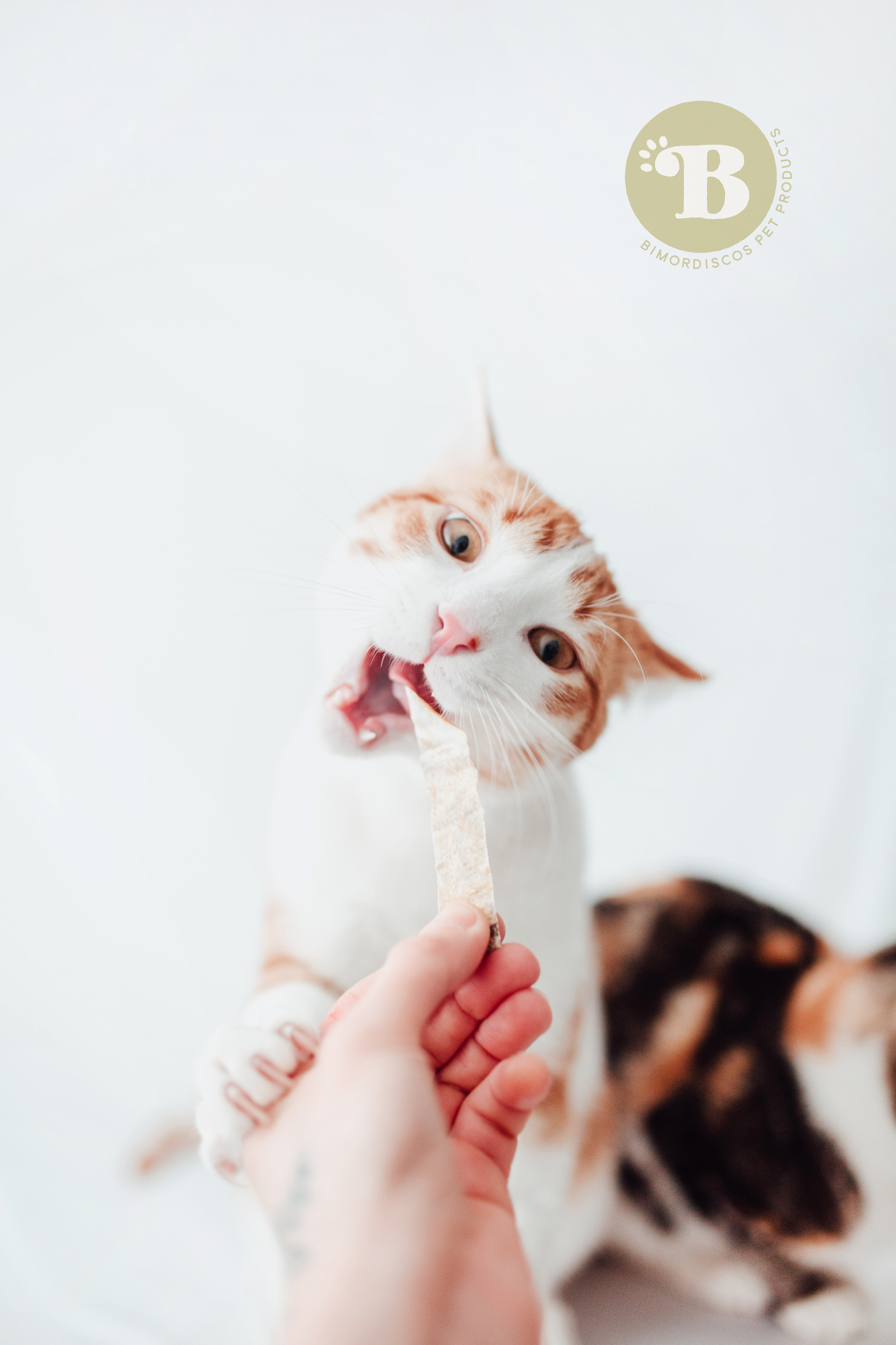 BIMORBOX Gold Ocean - Pacote de Petiscos e Frutos do Mar para Cães