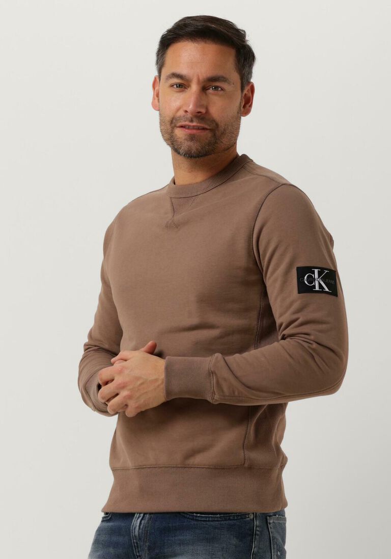 CALVIN KLEIN bruine calvin klein trui monologo sleeve badge cn