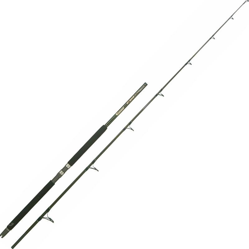 Canne Mer Italcanna Gt Special Popping