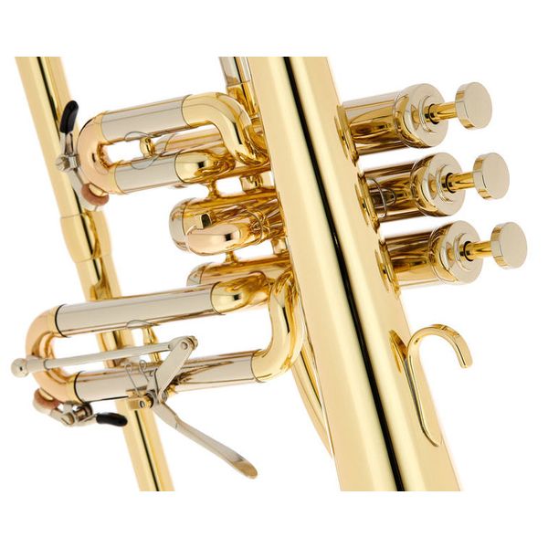 Schagerl Dione Flugelhorn
