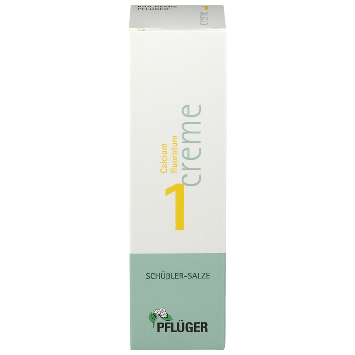 Biochemie Pflüger® Nr. 1 Calcium fluoratum D4 Creme