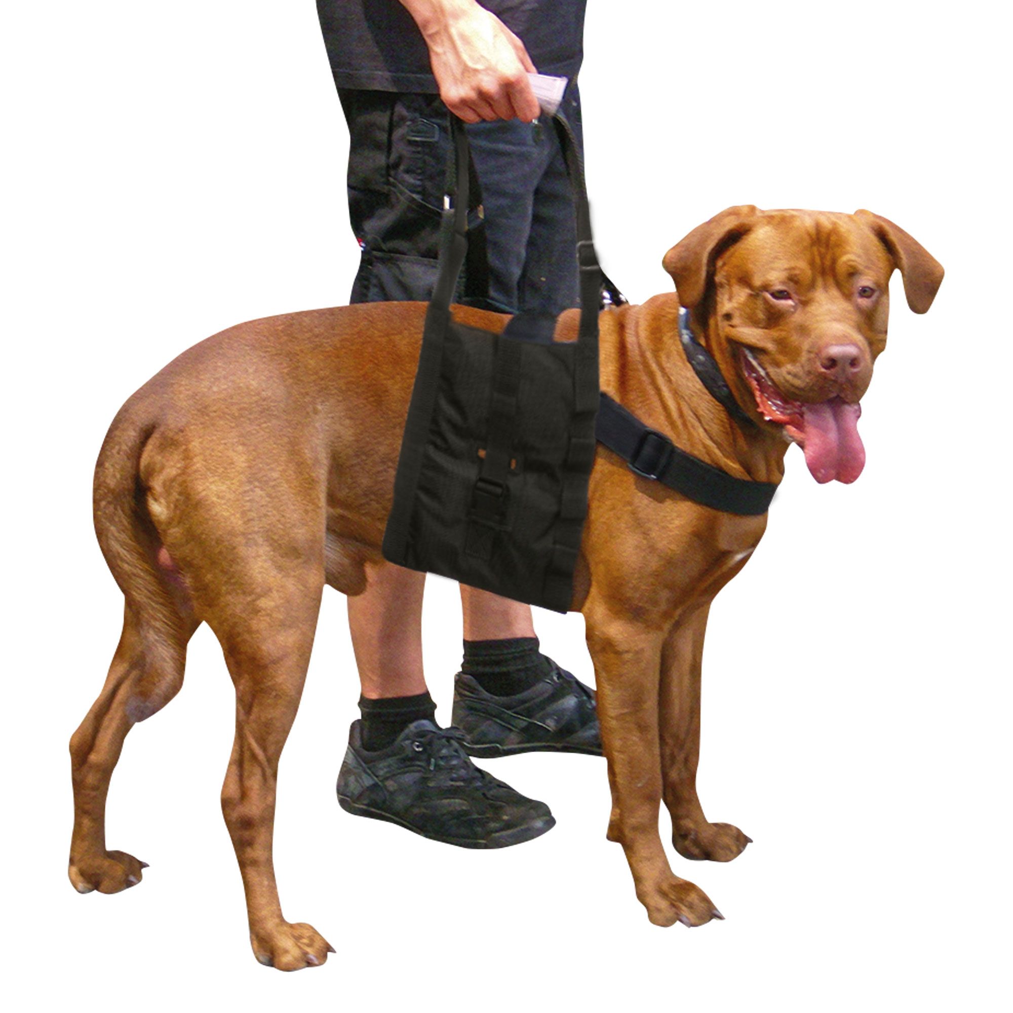 Beppo® Hunde-Gehhilfe 