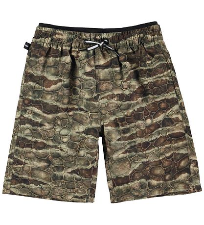 Molo Bådeshorts - UV50+ - Neal - Dino Texture
