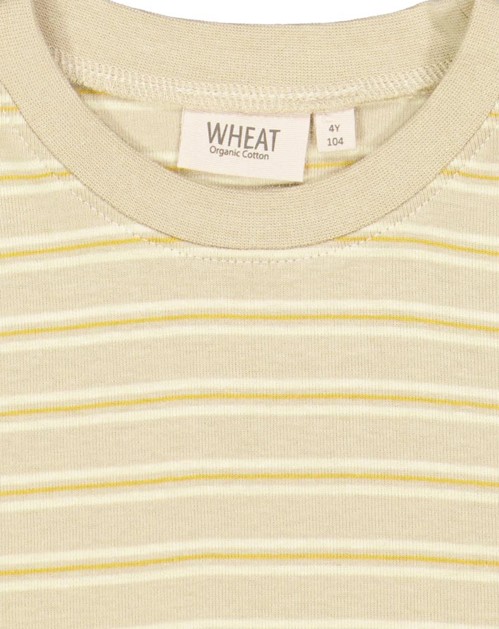T-Shirt FABIAN STRIPE in grau/beige