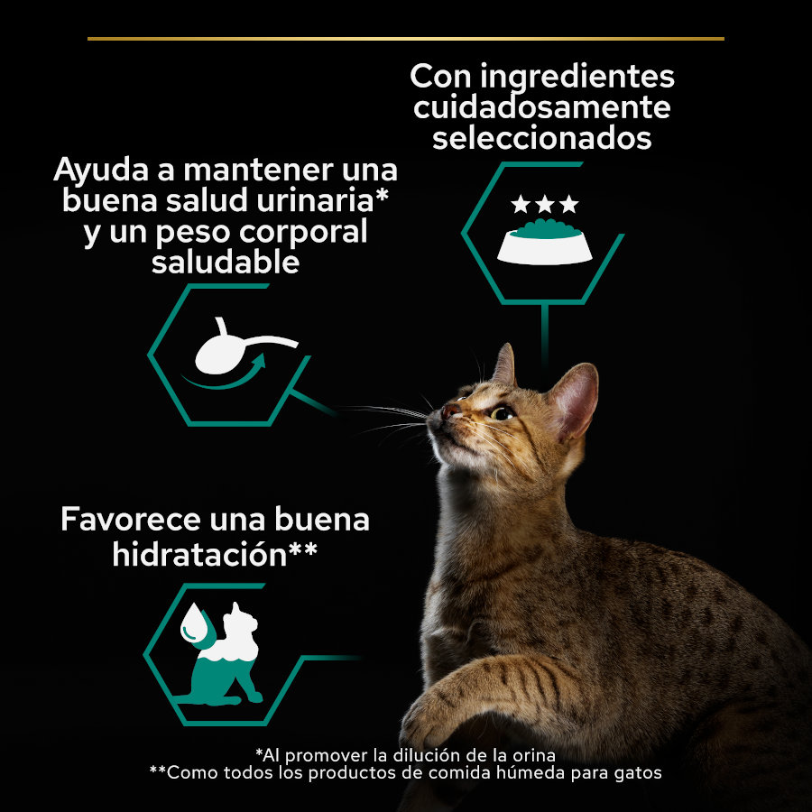Terrina de atum e salmão esterilizada Pro Plan para manutenção de gatos.