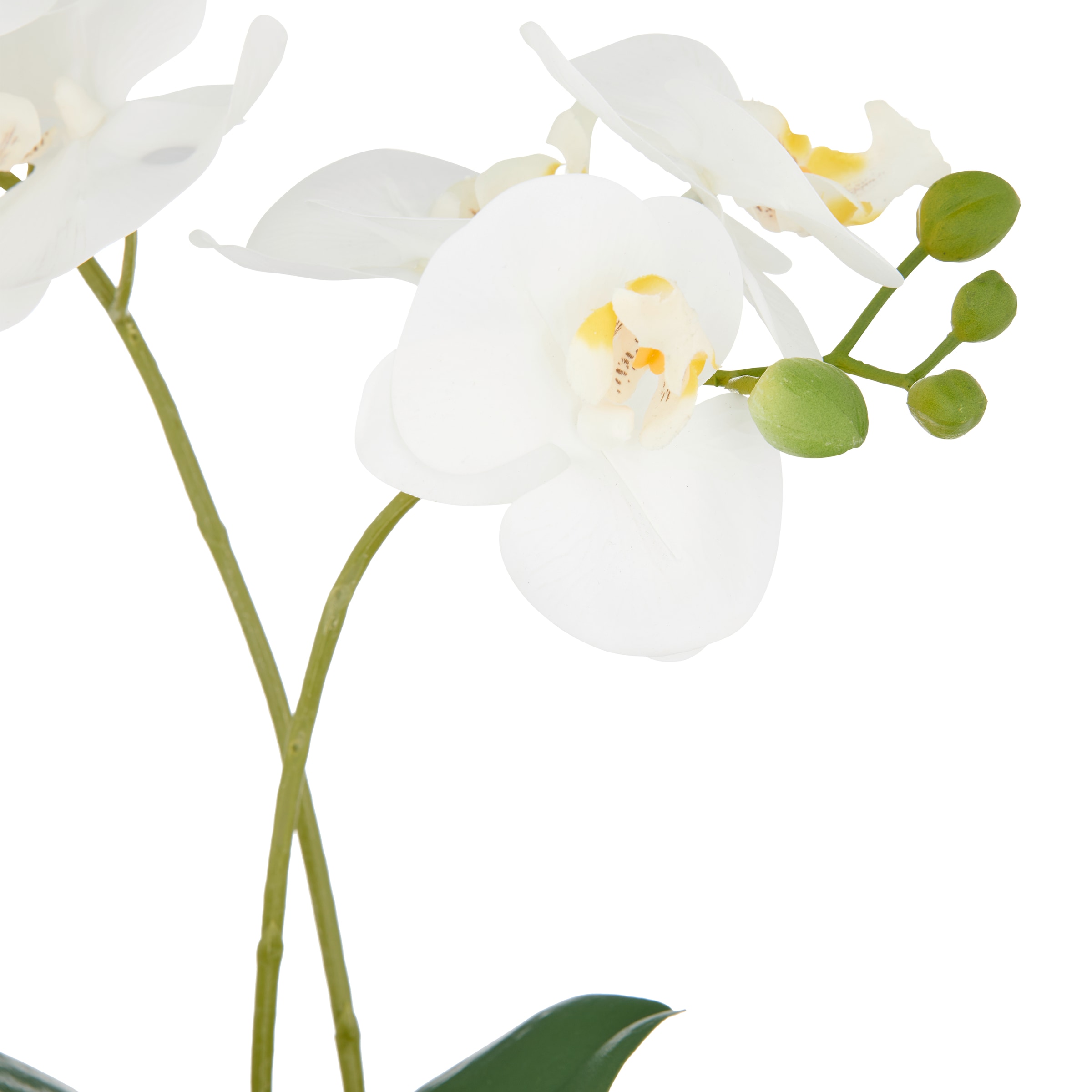 Creativ green Kunstorchidee »Orchidee Phalaenopsis« mit real-touch-Blüten
