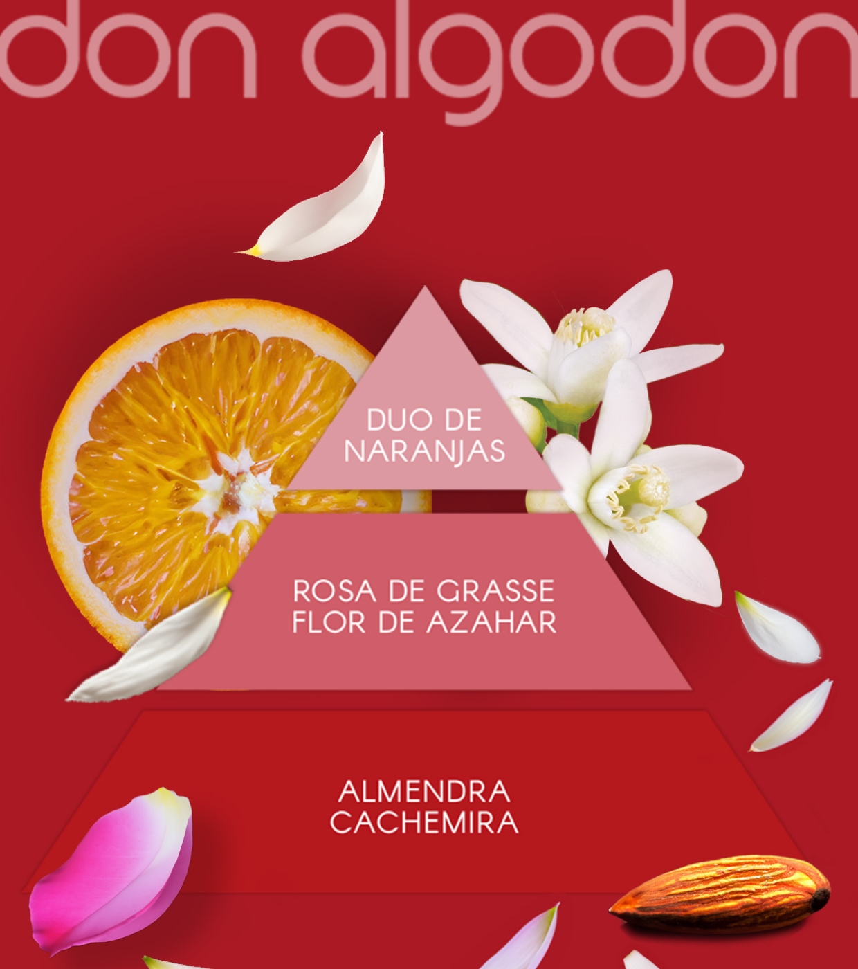 Don Algodon - Eau de toilette para mulheres - Red Party